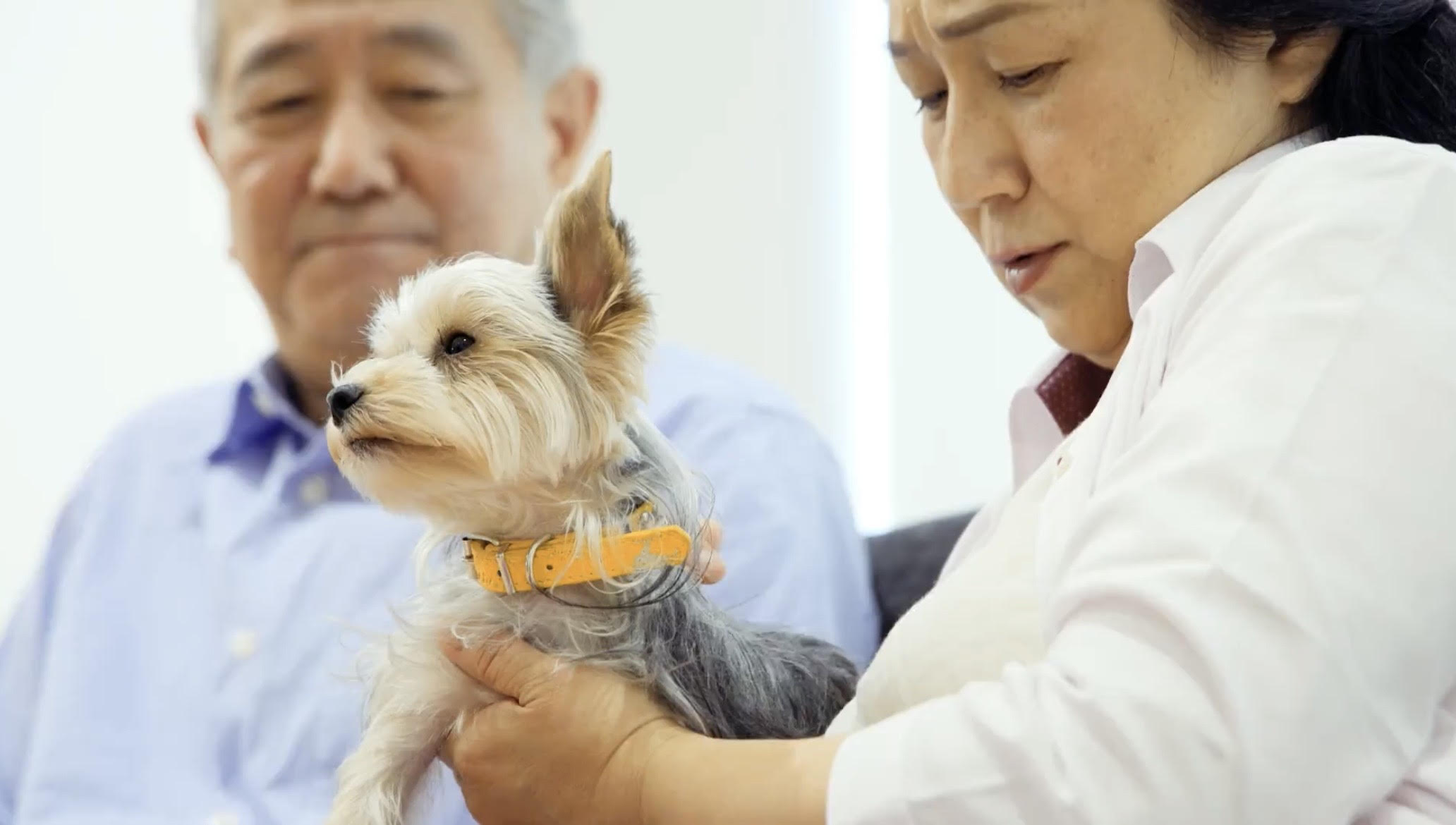 俳優 吉田昌美 ホームページ